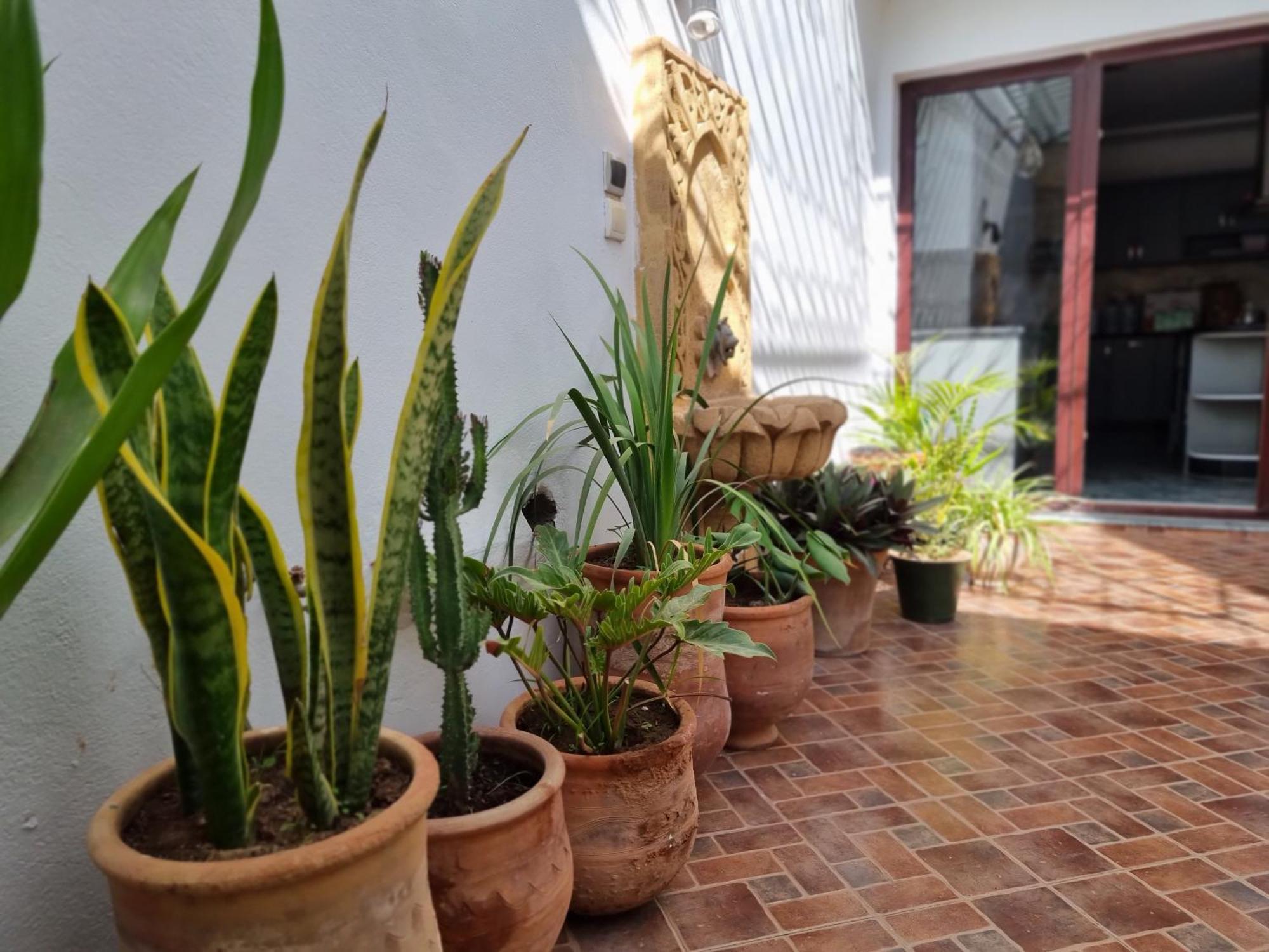 Riad Searenity Tamraght Zewnętrze zdjęcie